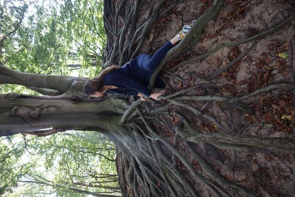 A person in dark clothing is seen interacting with the massive, exposed roots of a large tree in a sunlit forest